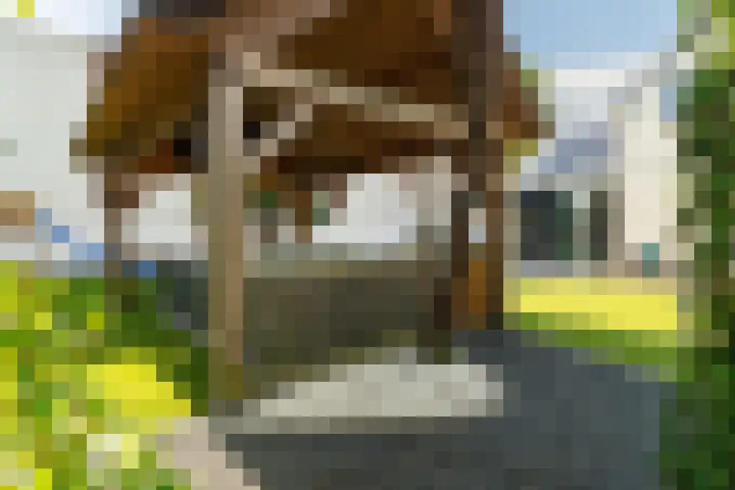 Biesboschhaven Zuid 14 Werkendam thumbnail 43