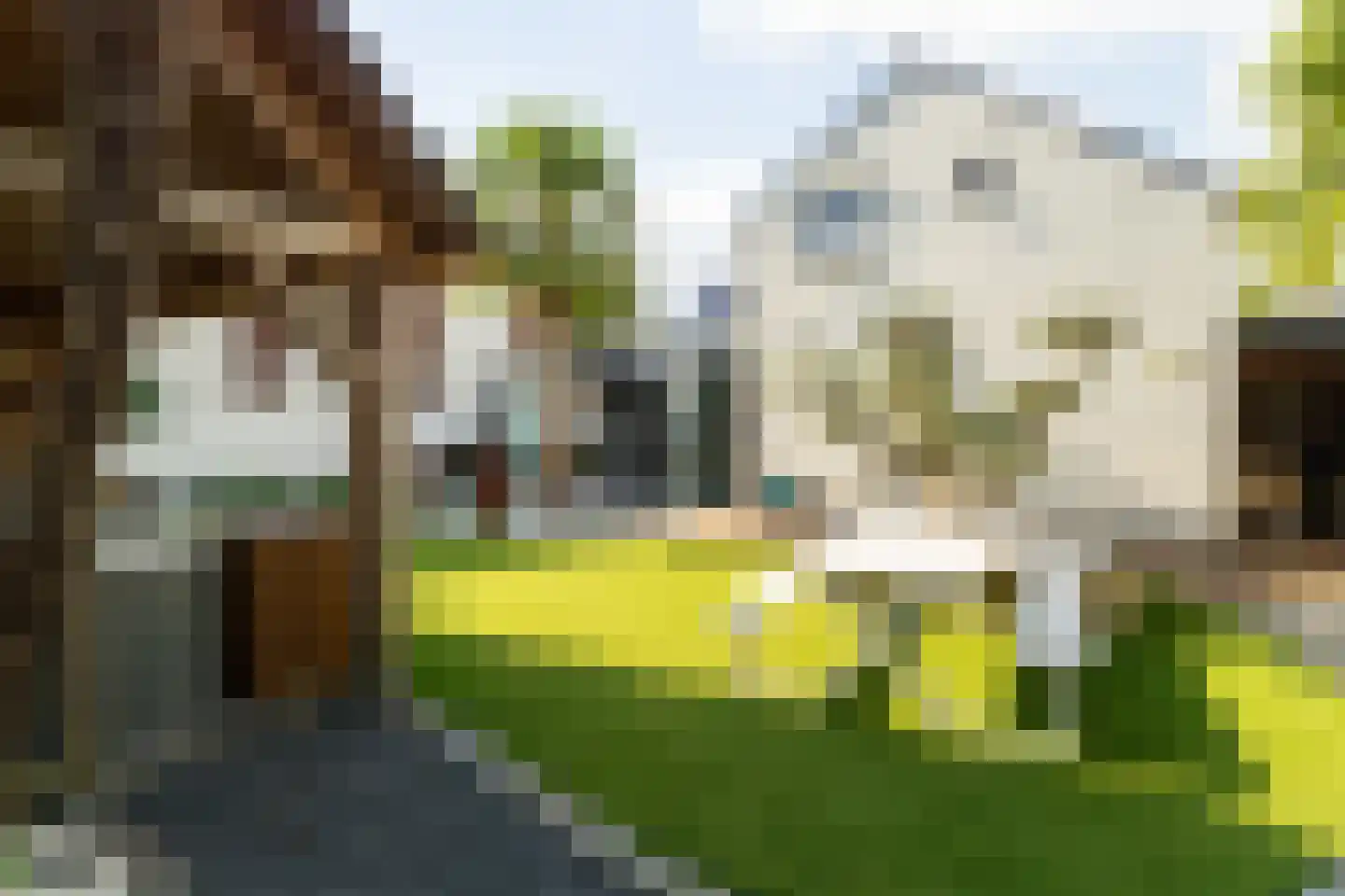Biesboschhaven Zuid 14 Werkendam thumbnail 46