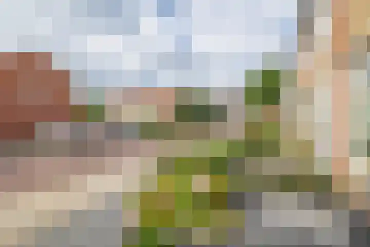 Biesboschlaan 13 Stadskanaal thumbnail 10