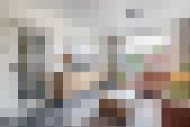 Biesboschlaan 13 Stadskanaal thumbnail 15