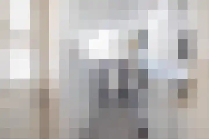 Biesboschlaan 13 Stadskanaal thumbnail 20