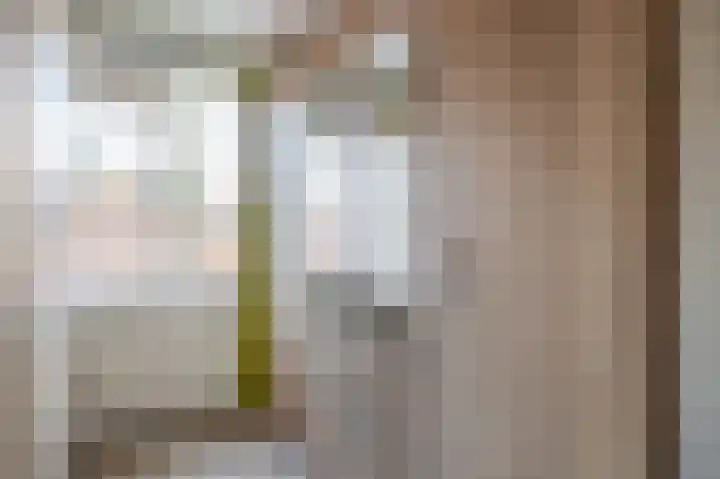 Biesboschlaan 13 Stadskanaal thumbnail 27