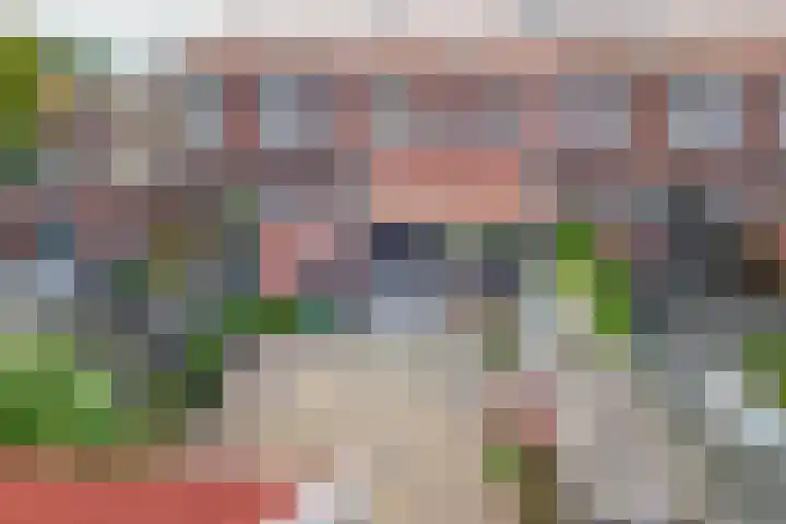 Biesboschlaan 13 Stadskanaal thumbnail 30