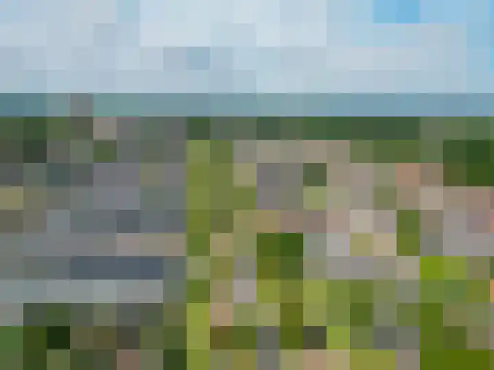 Biesboschlaan 13 Stadskanaal thumbnail 39