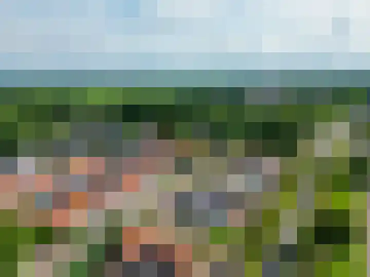 Biesboschlaan 13 Stadskanaal thumbnail 40