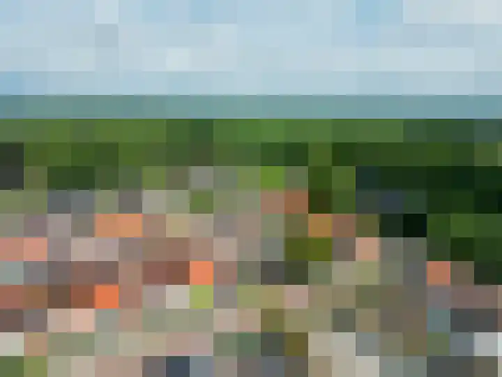 Biesboschlaan 13 Stadskanaal thumbnail 41