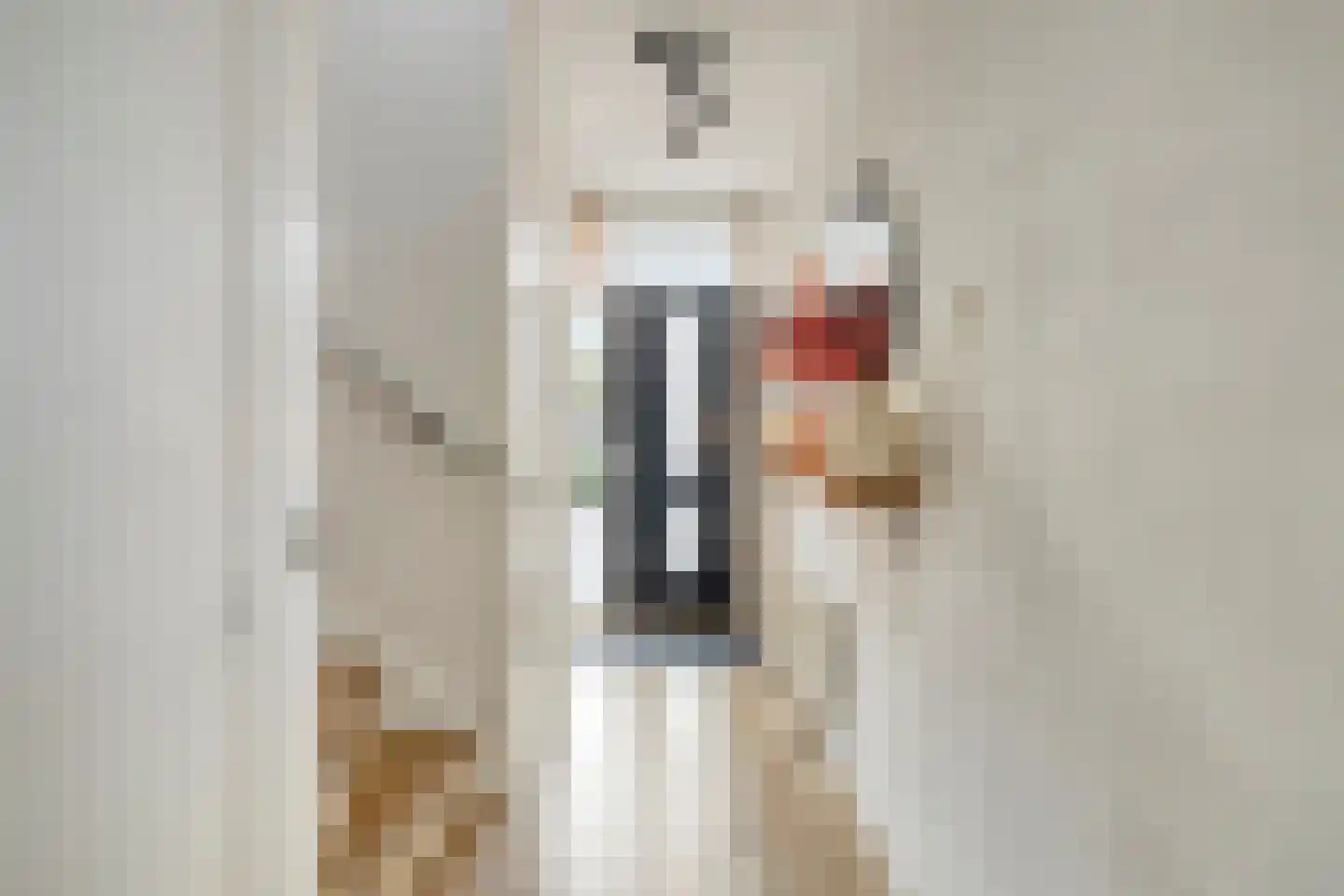 Biesboschlaan 15 Stadskanaal thumbnail 10
