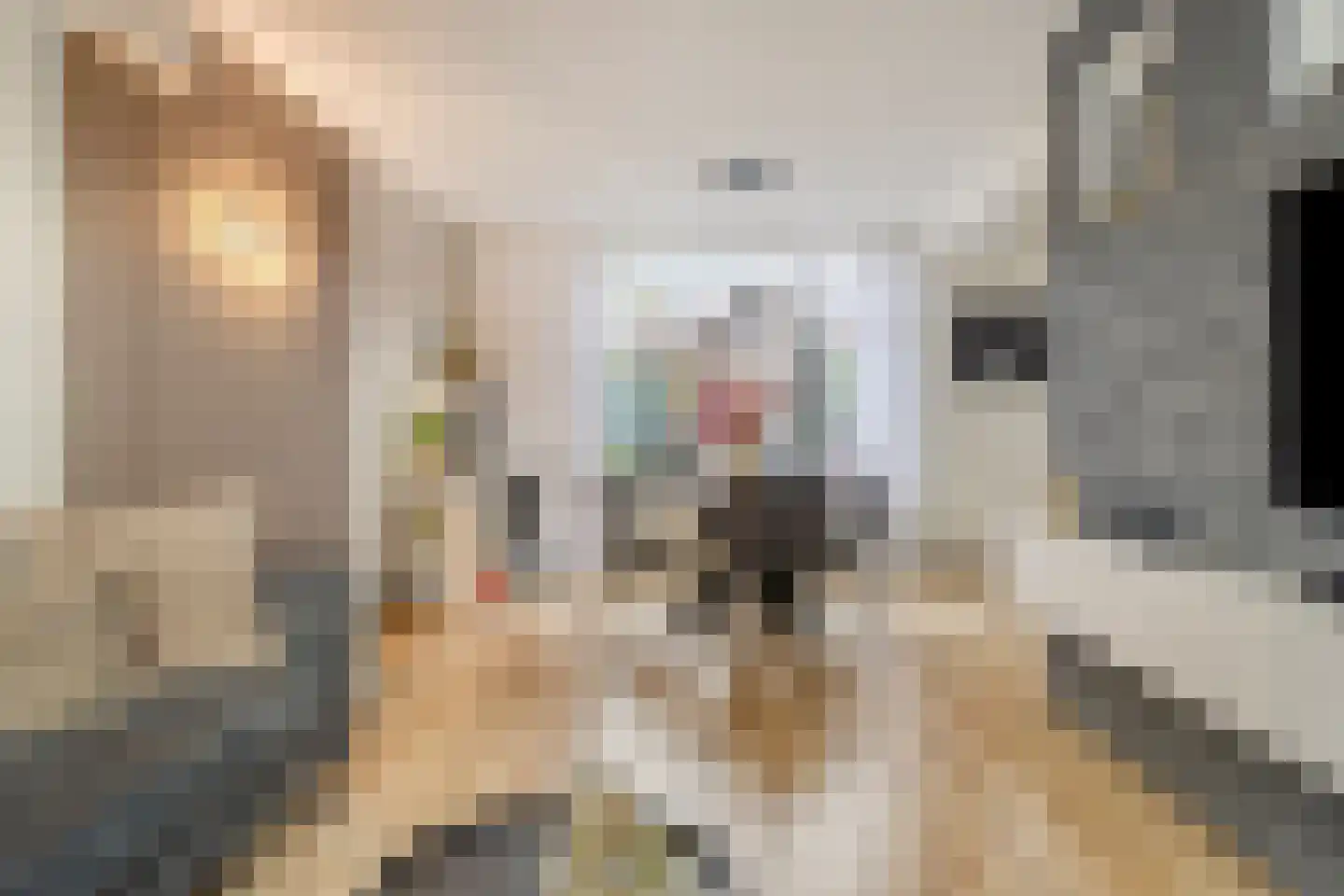 Biesboschlaan 15 Stadskanaal thumbnail 18