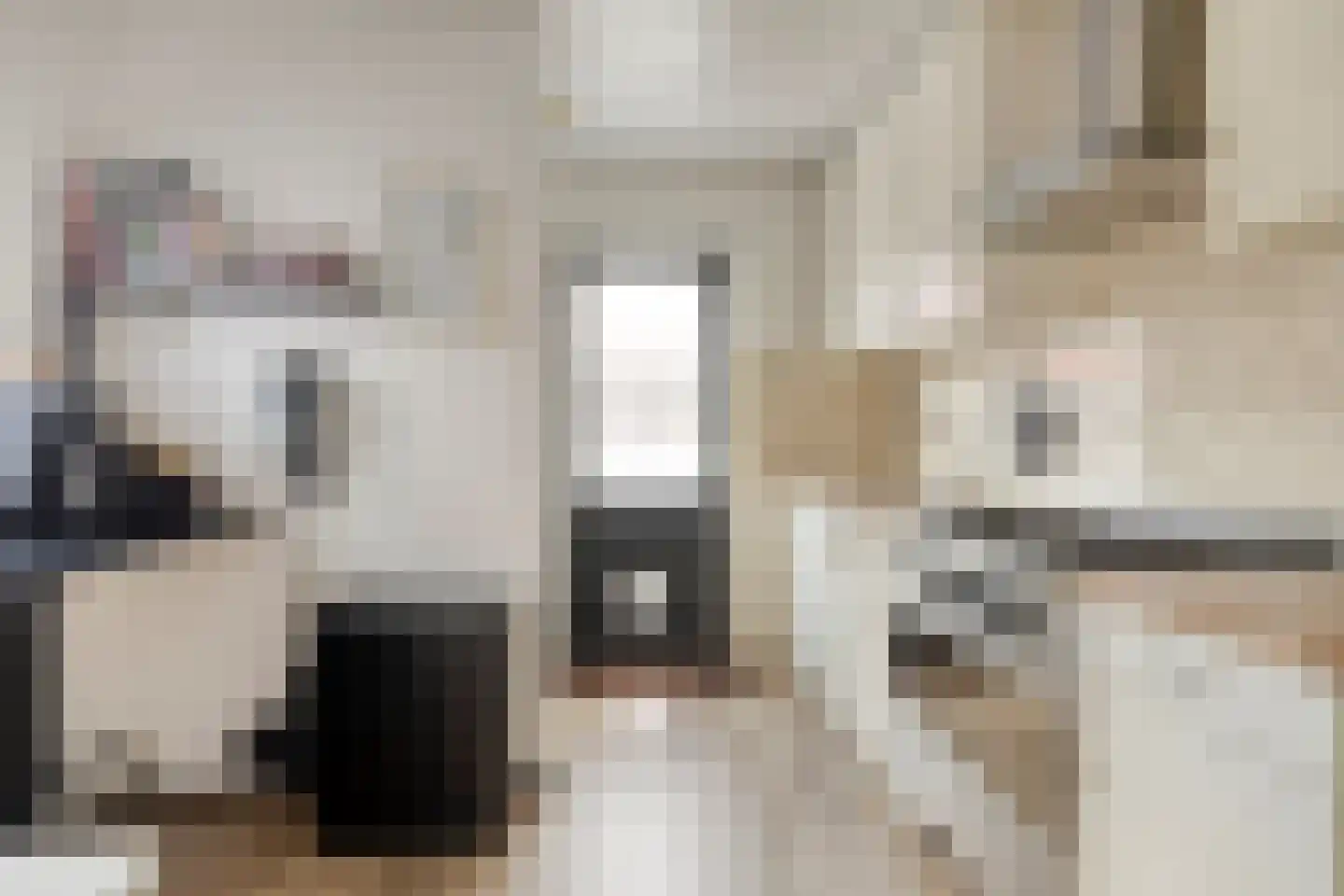 Biesboschlaan 15 Stadskanaal thumbnail 21