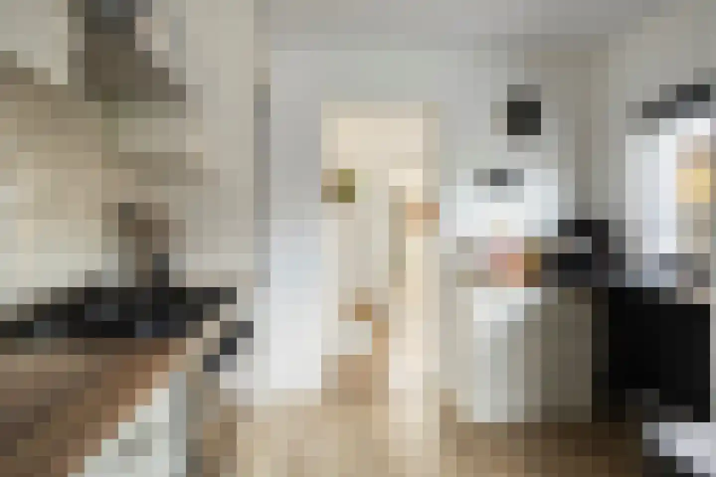 Biesboschlaan 15 Stadskanaal thumbnail 22