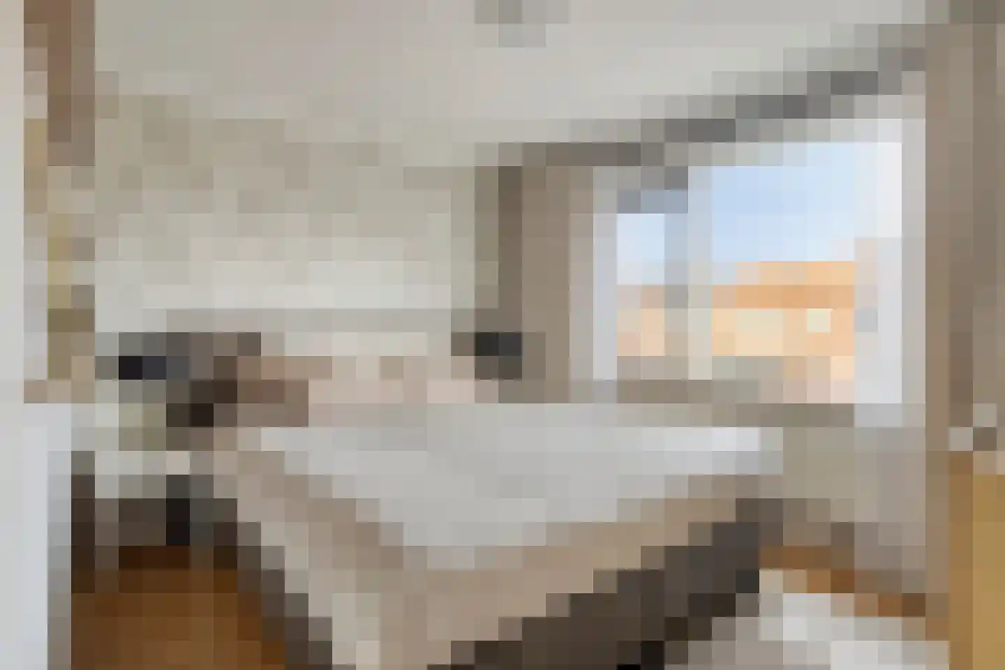Biesboschlaan 15 Stadskanaal thumbnail 31