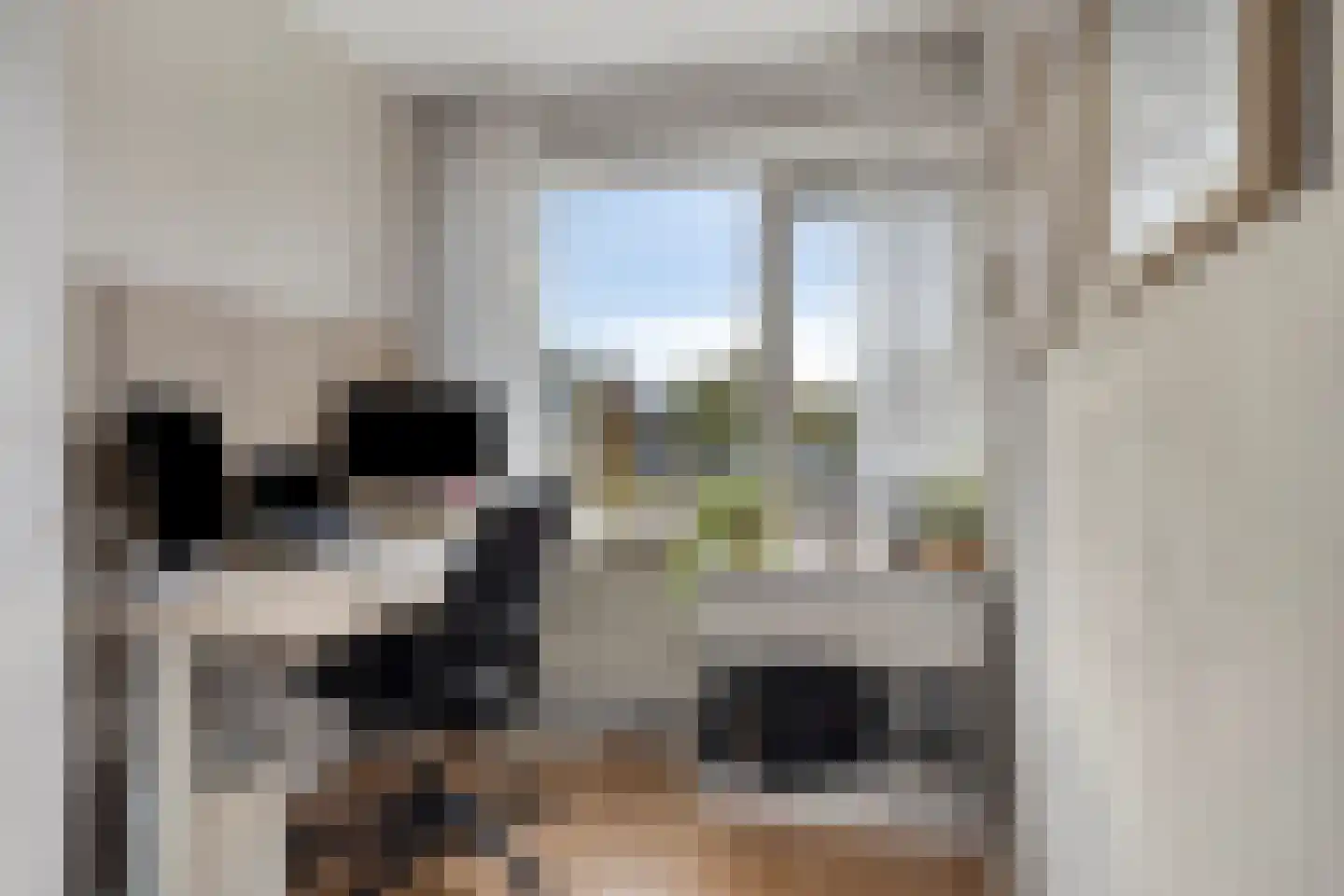Biesboschlaan 15 Stadskanaal thumbnail 32