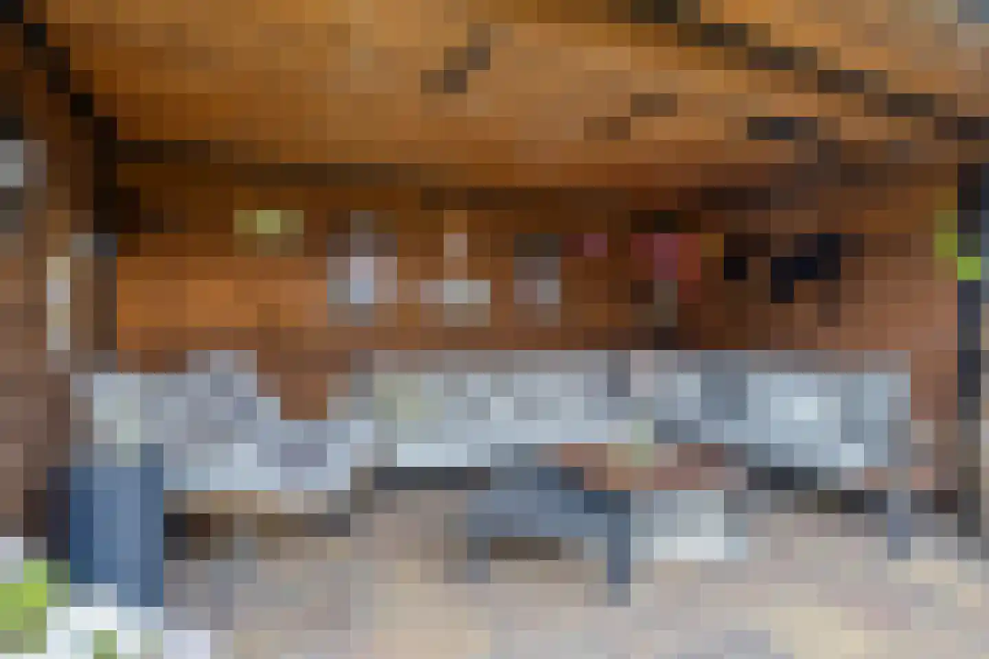 Biesboschlaan 15 Stadskanaal thumbnail 34