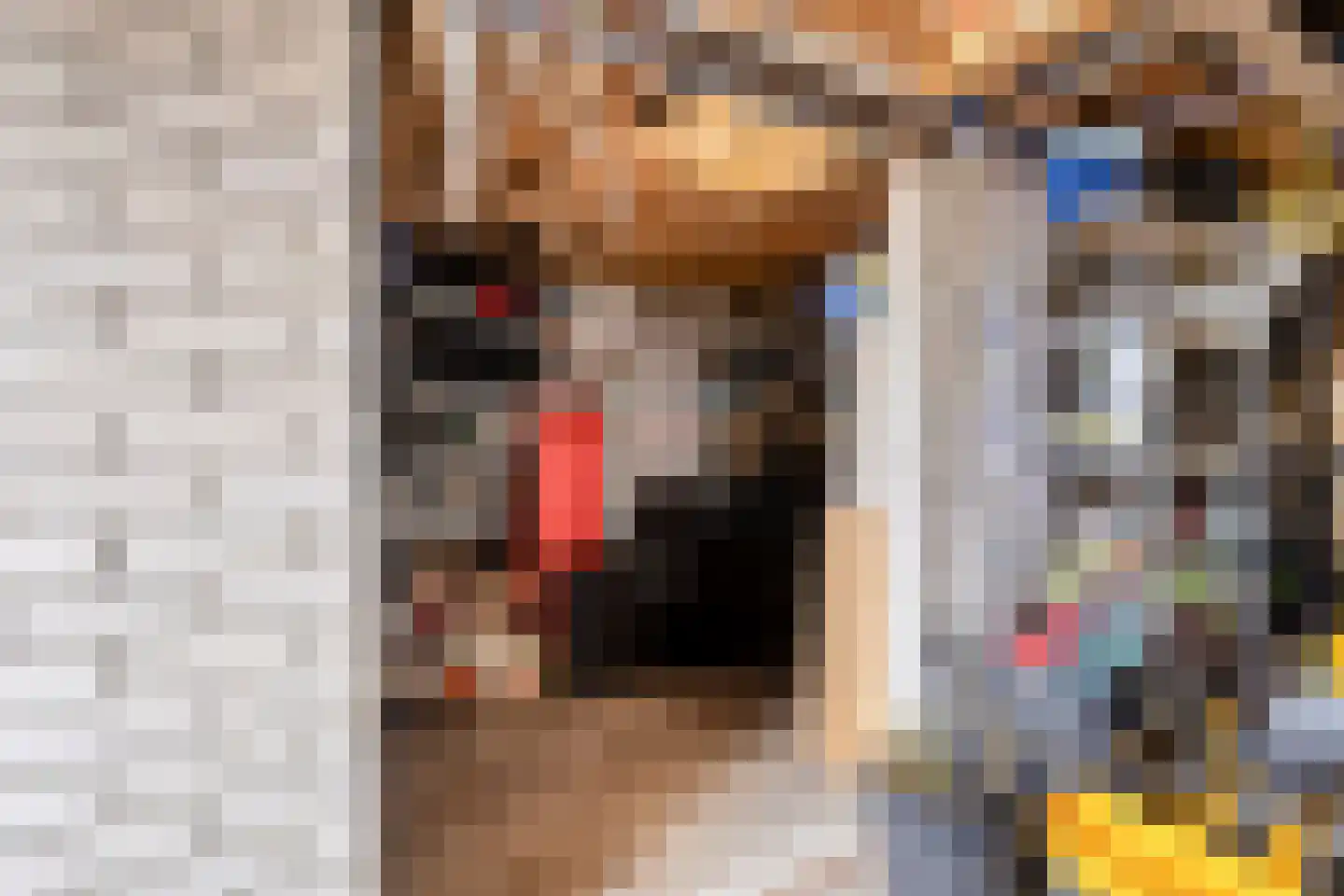 Biesboschlaan 15 Stadskanaal thumbnail 38
