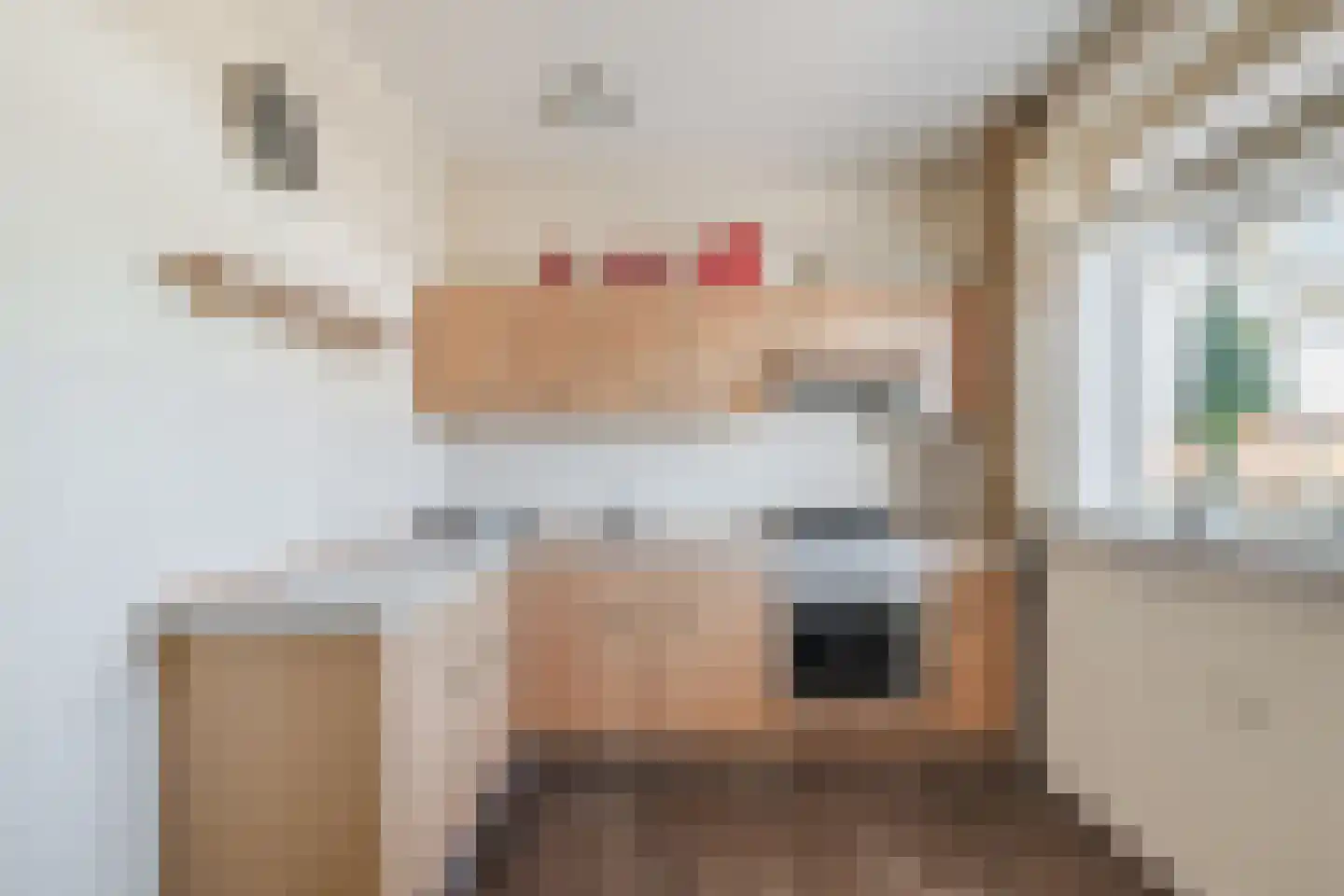 Biesboschlaan 16 Stadskanaal thumbnail 15
