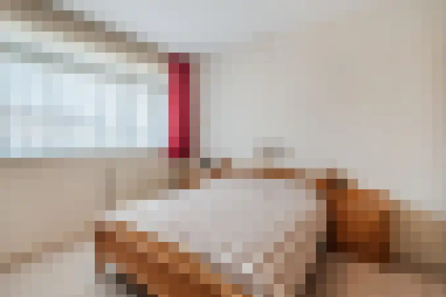 Biesboschlaan 16 Stadskanaal thumbnail 18