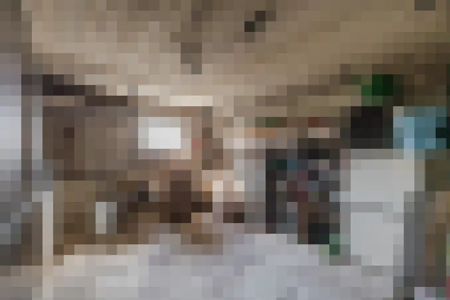 Biesboschlaan 16 Stadskanaal thumbnail 27