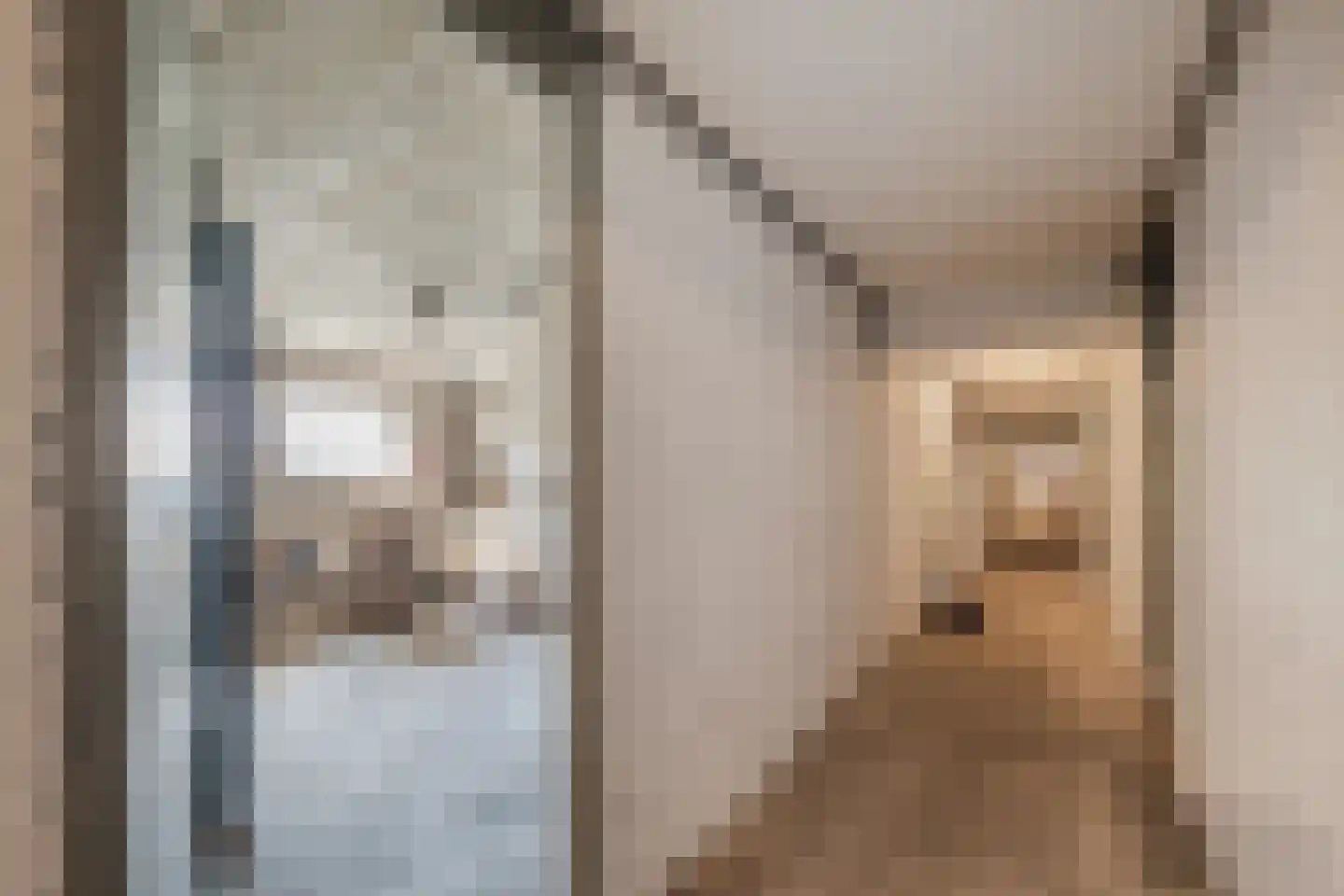 Biesboschlaan 16 Stadskanaal thumbnail 29