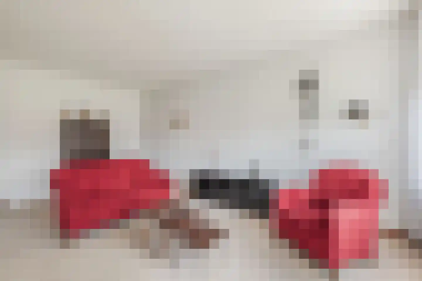 Biesboschlaan 16 Stadskanaal thumbnail 9
