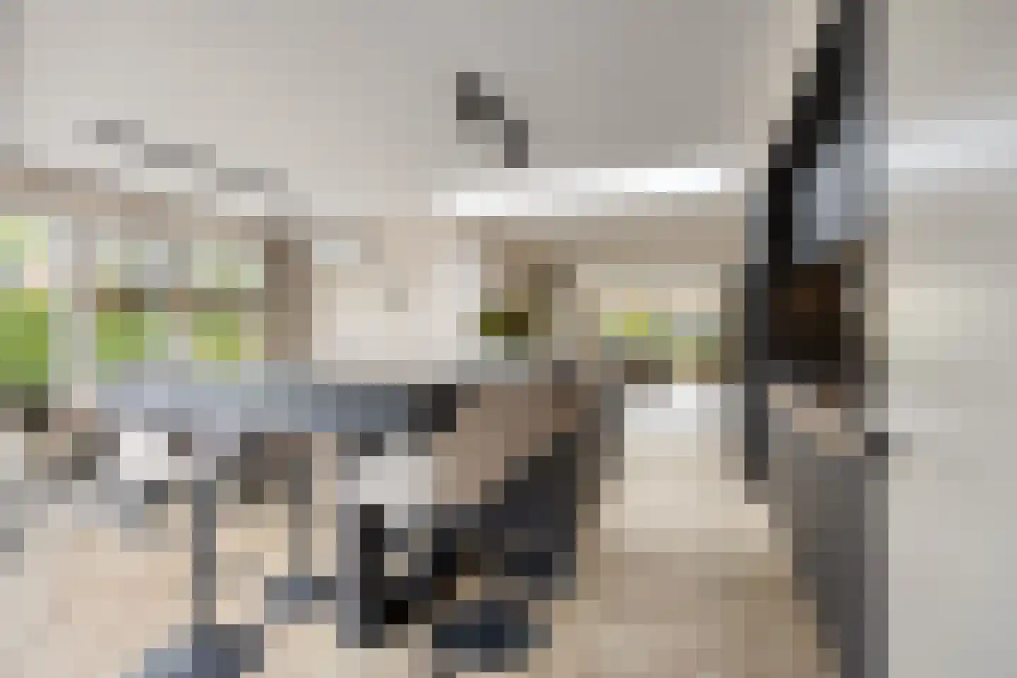 Biesboschlaan 2 Son en Breugel thumbnail 18