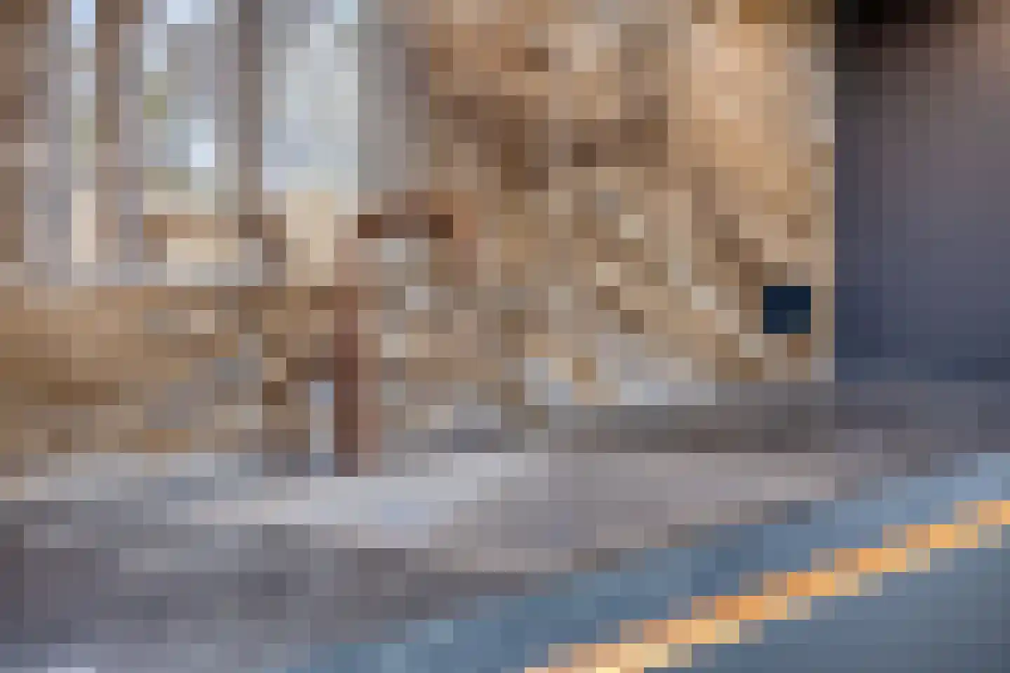 Biesboschlaan 2 Son en Breugel thumbnail 19