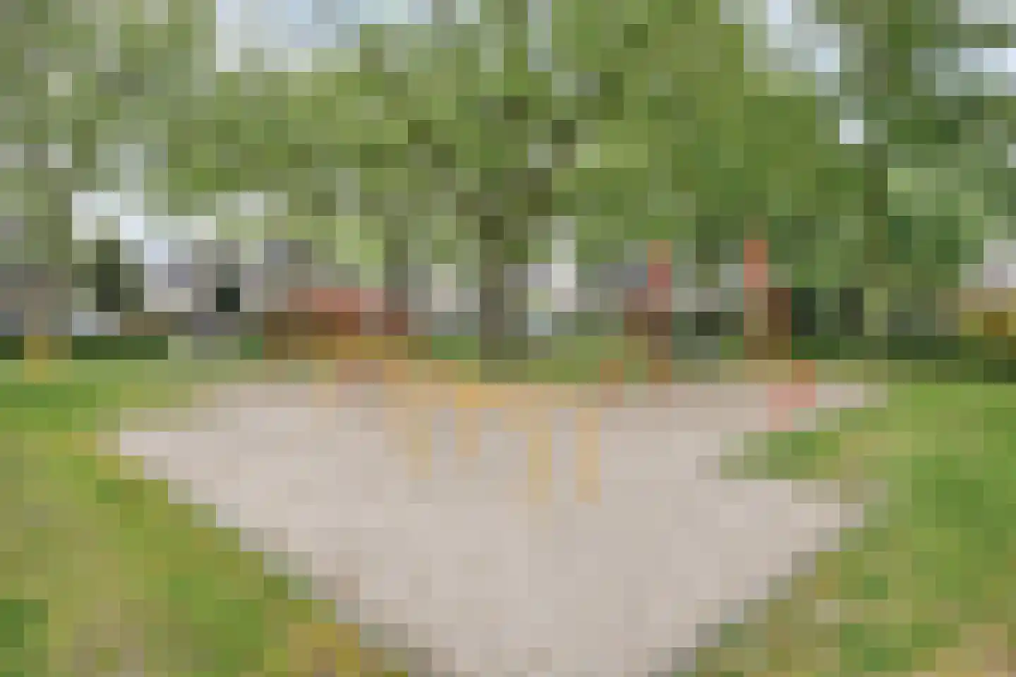 Biesboschlaan 2 Son en Breugel thumbnail 41