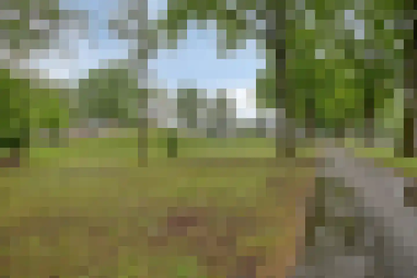 Biesboschlaan 2 Son en Breugel thumbnail 42