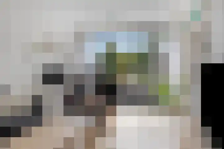 Biesboschlaan 20 Stadskanaal thumbnail 12