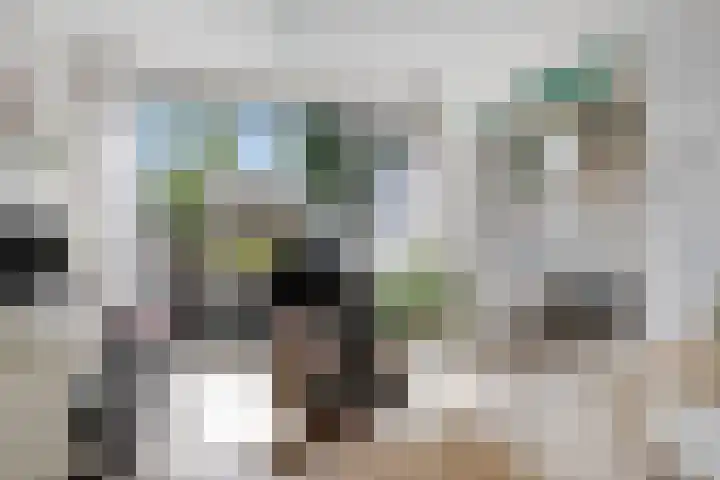 Biesboschlaan 20 Stadskanaal thumbnail 13
