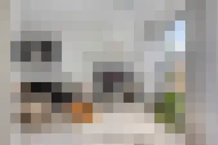 Biesboschlaan 20 Stadskanaal thumbnail 14
