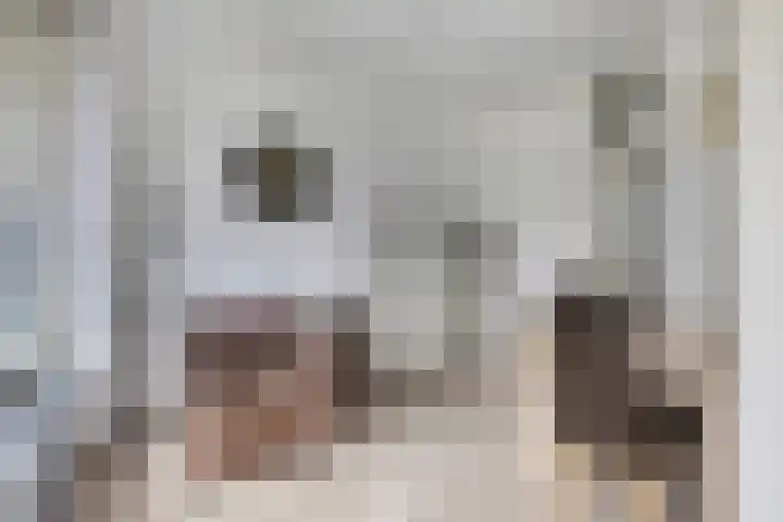 Biesboschlaan 20 Stadskanaal thumbnail 15