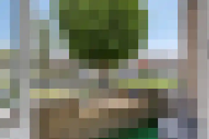 Biesboschlaan 20 Stadskanaal thumbnail 17