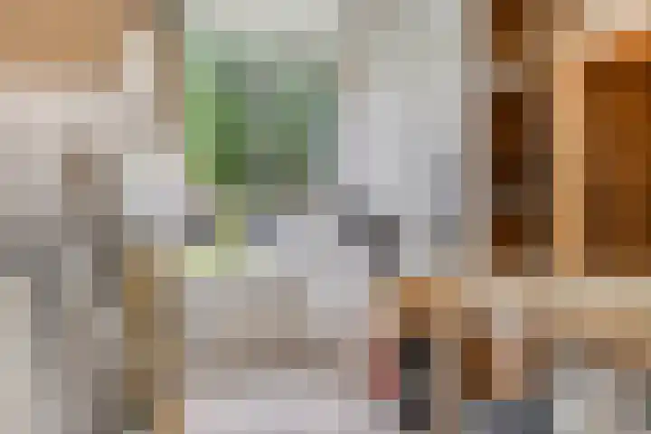 Biesboschlaan 20 Stadskanaal thumbnail 24