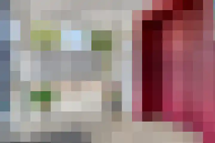 Biesboschlaan 20 Stadskanaal thumbnail 5