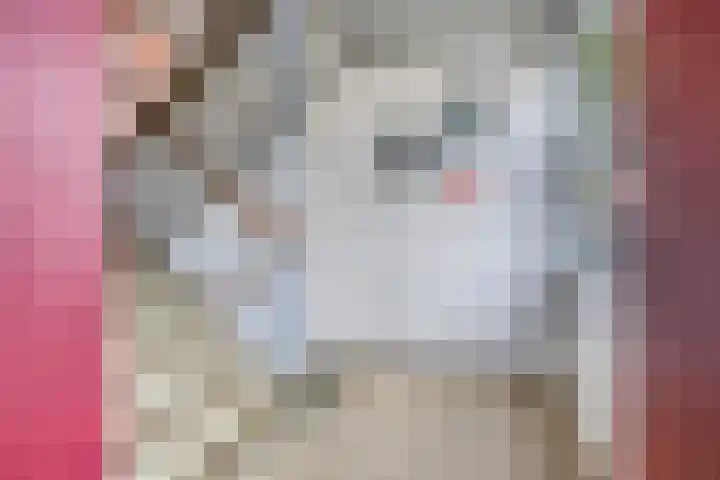 Biesboschlaan 20 Stadskanaal thumbnail 6
