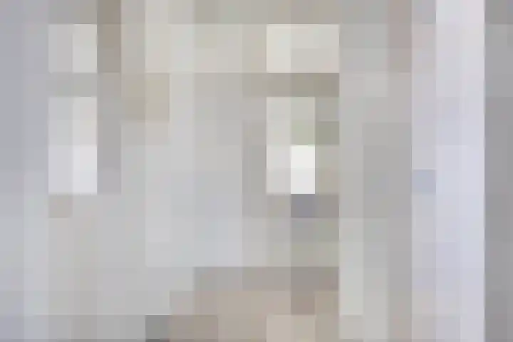 Biesboschlaan 20 Stadskanaal thumbnail 8