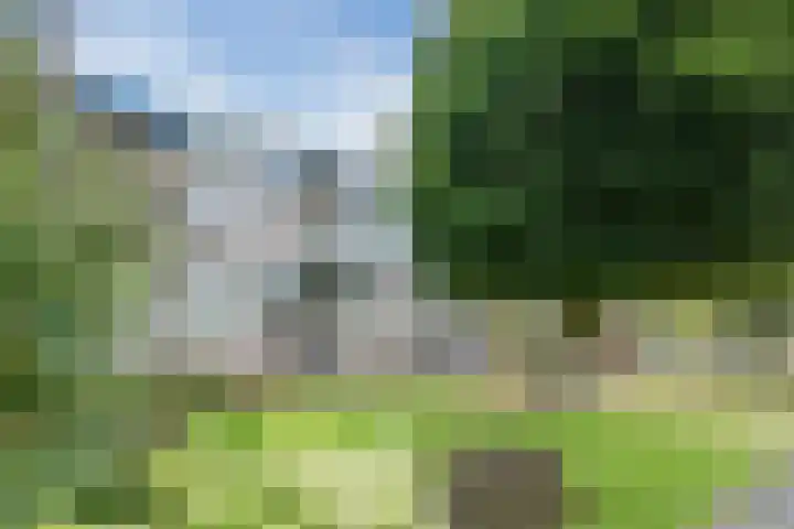 Biesboschlaan 38 Stadskanaal thumbnail 29