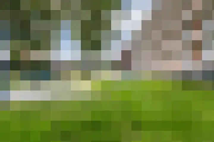 Biesboschlaan 38 Stadskanaal thumbnail 4