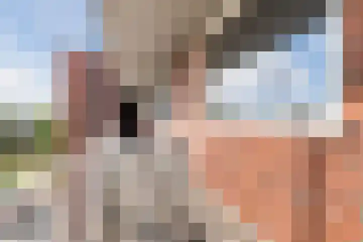 Biesboschlaan 38 Stadskanaal thumbnail 7