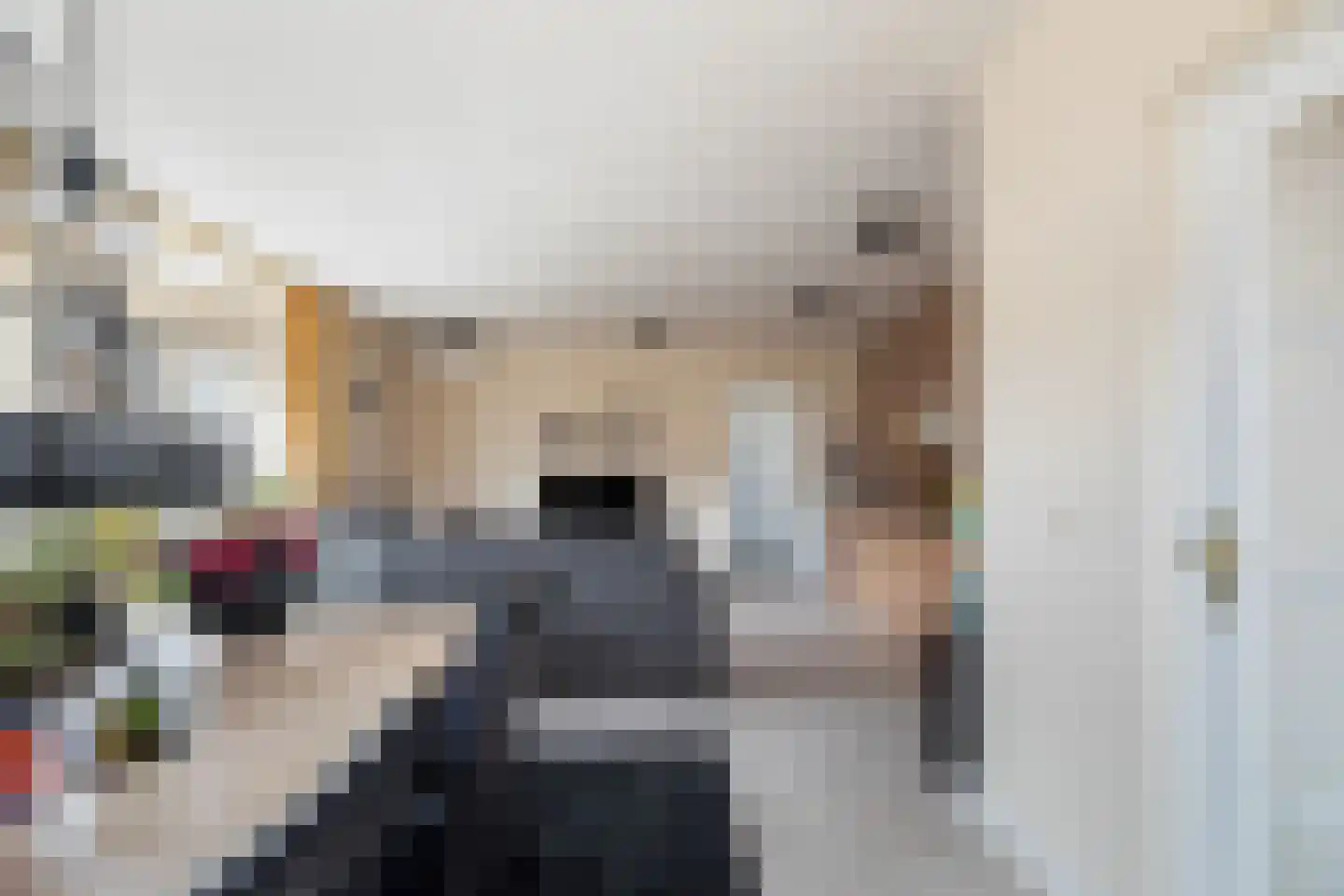 Biesboschlaan 8 Hank thumbnail 11