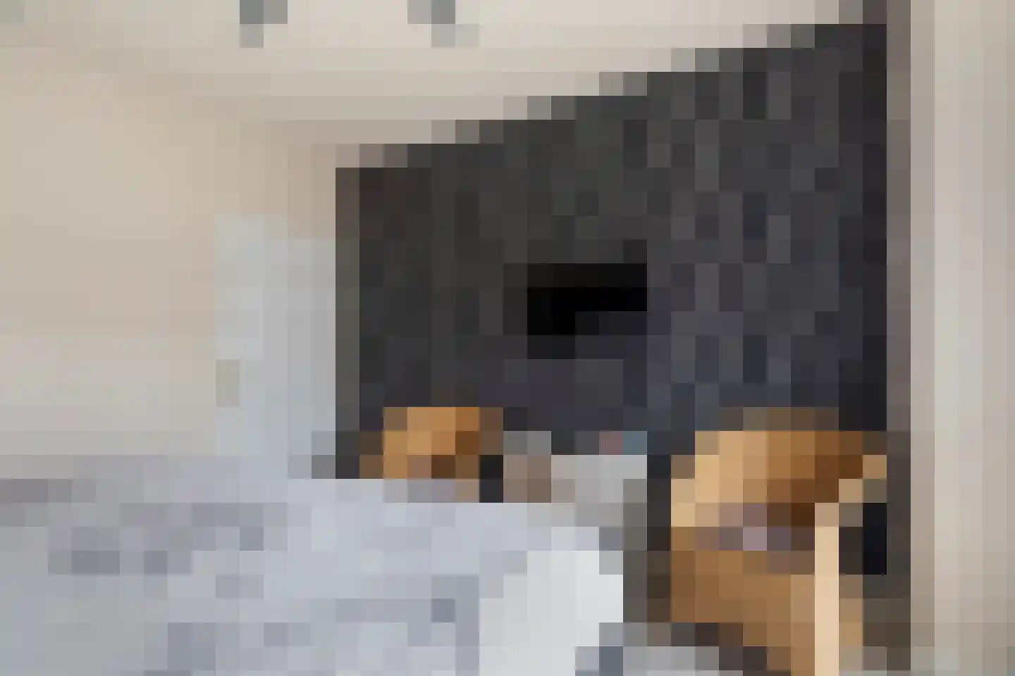 Biesboschlaan 8 Hank thumbnail 19