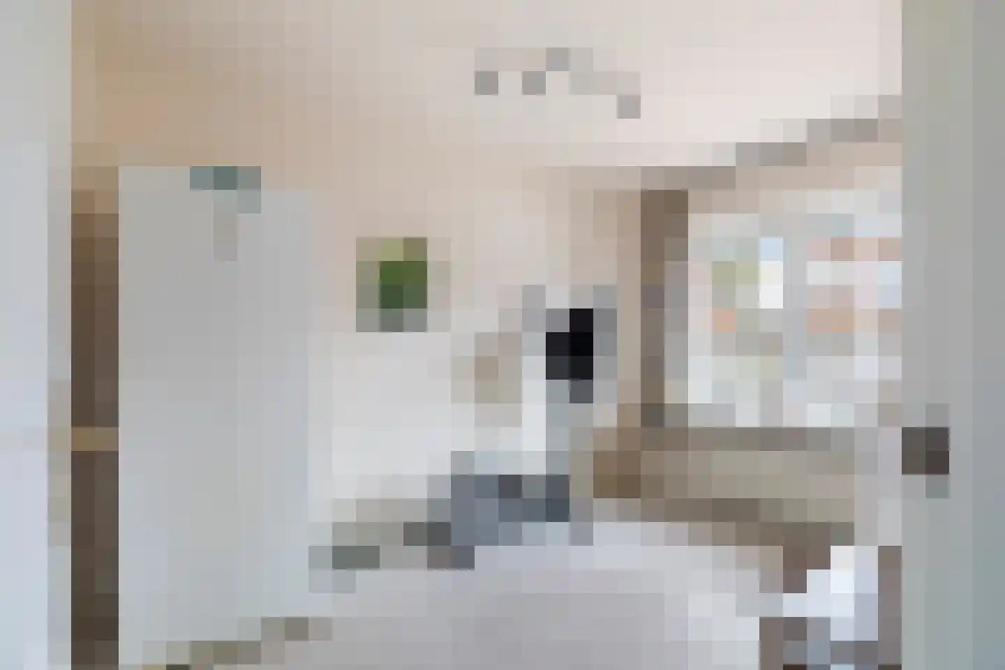 Biesboschlaan 8 Hank thumbnail 22