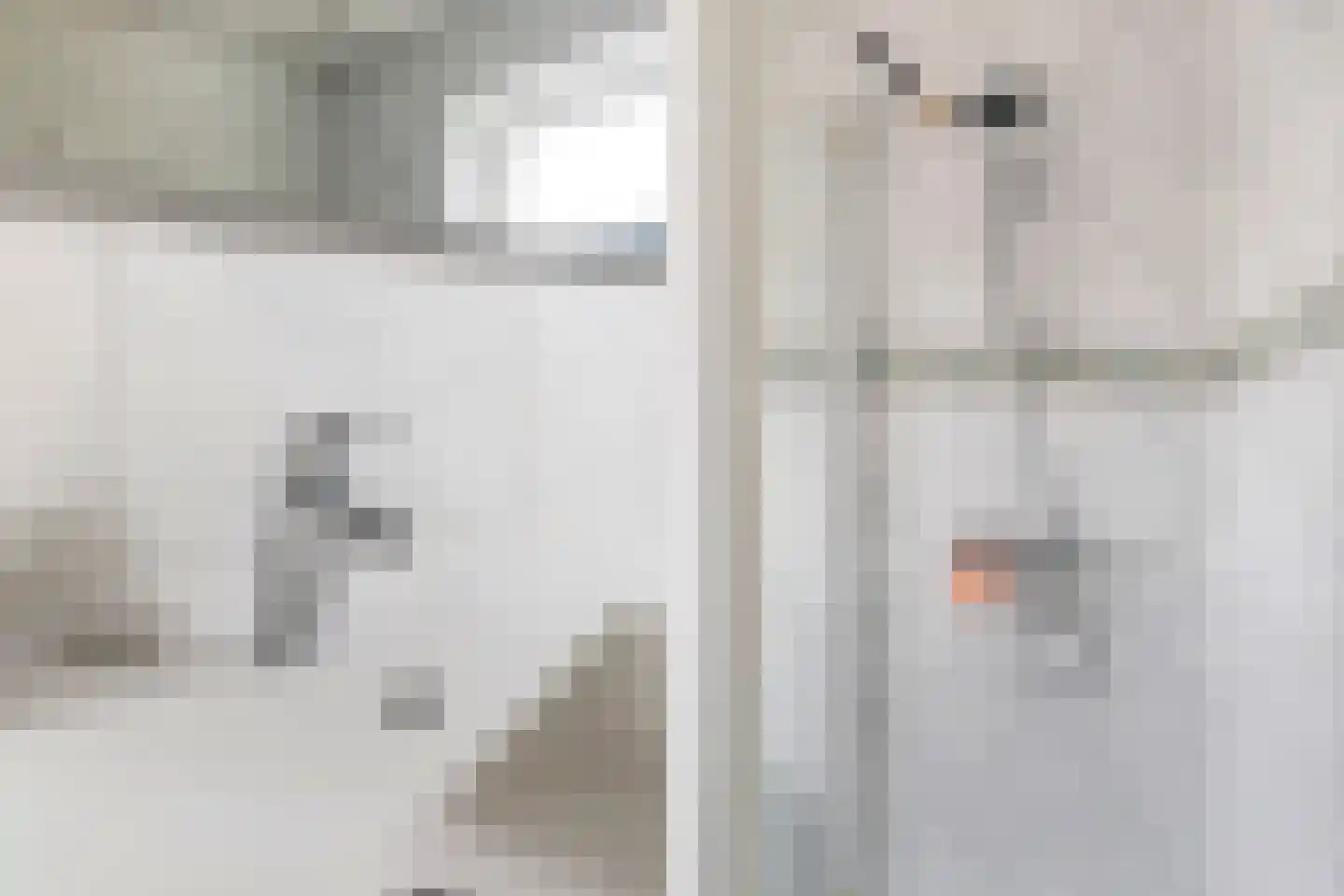 Biesboschlaan 8 Hank thumbnail 25