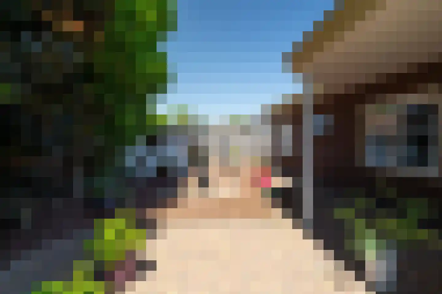 Biesboschlaan 8 Hank thumbnail 33
