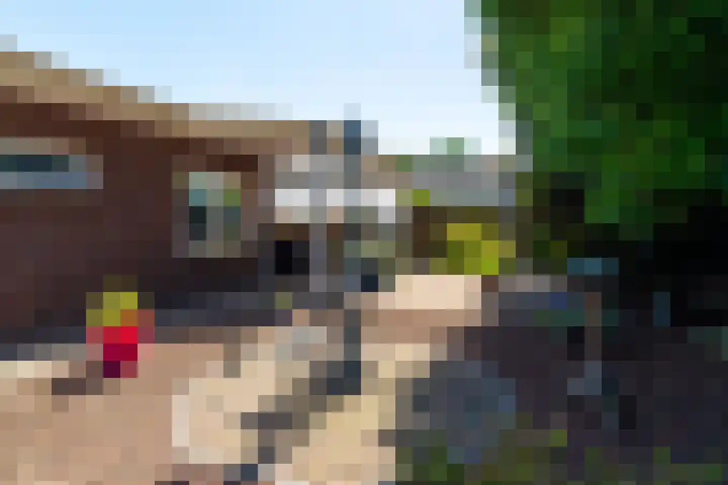 Biesboschlaan 8 Hank thumbnail 34