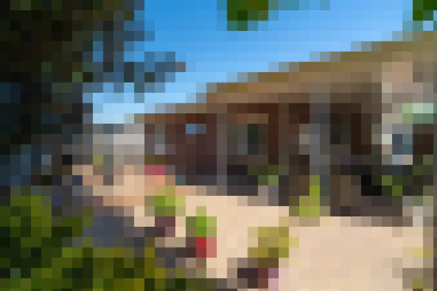 Biesboschlaan 8 Hank thumbnail 35