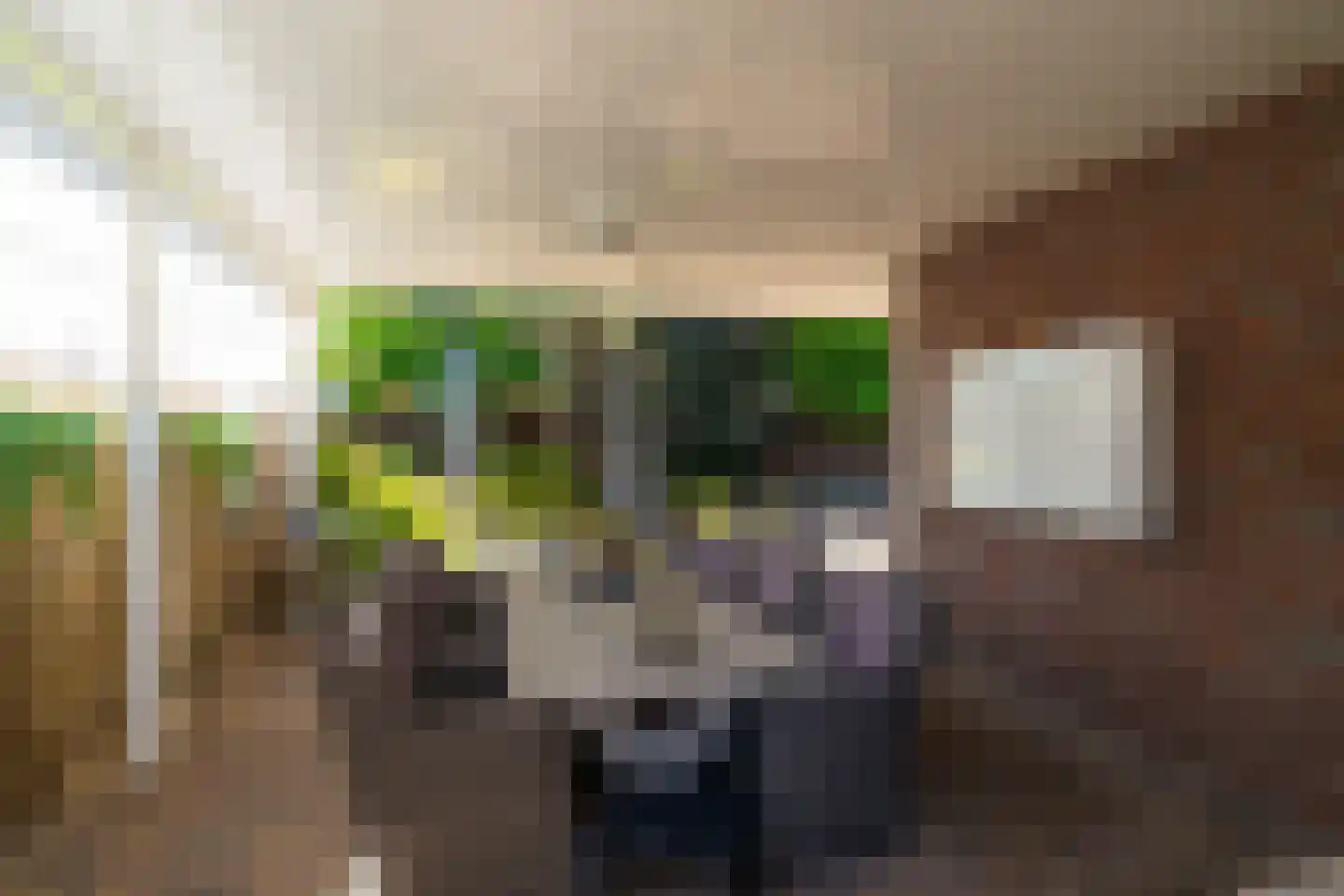 Biesboschlaan 8 Hank thumbnail 38