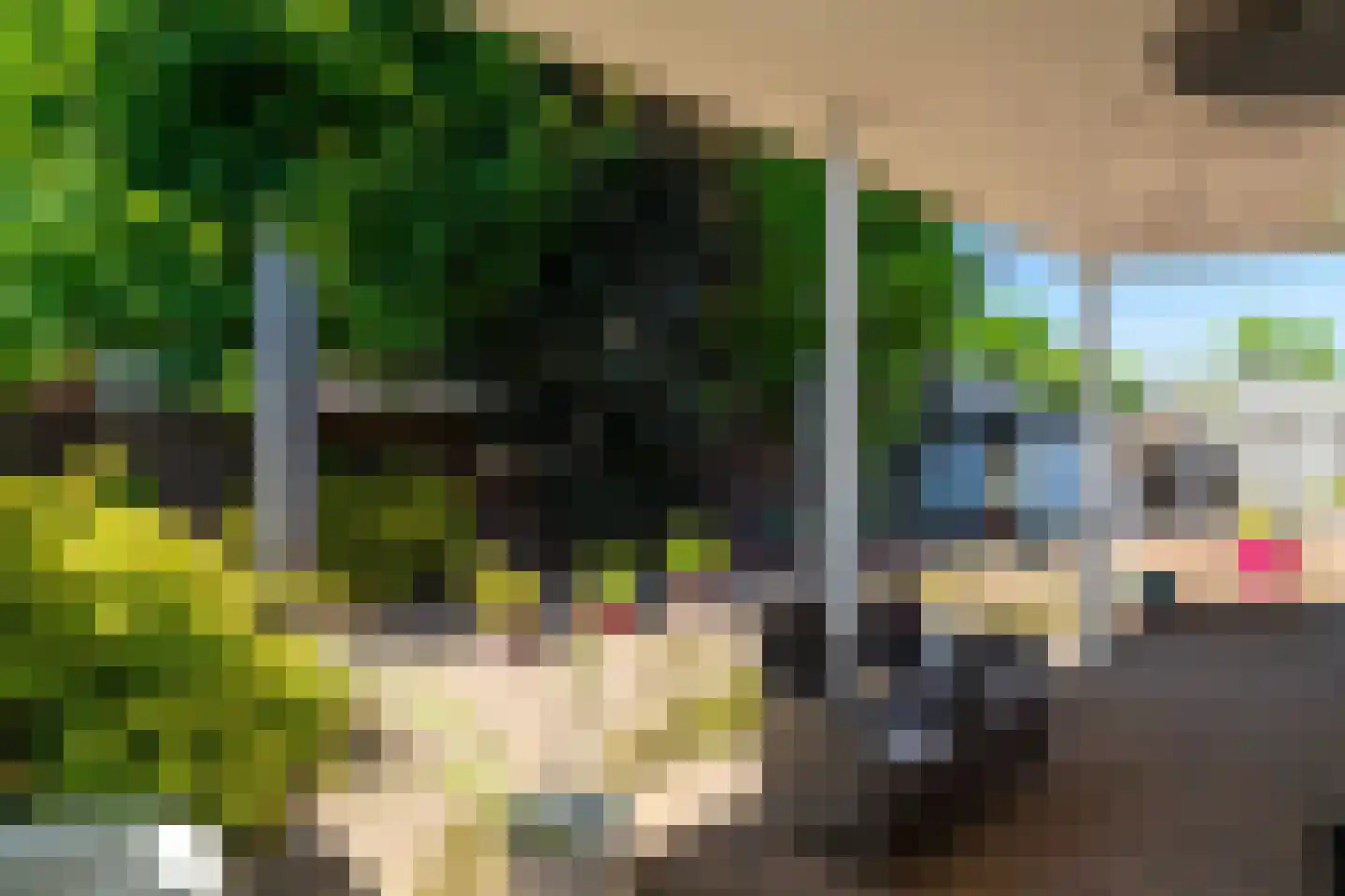 Biesboschlaan 8 Hank thumbnail 39