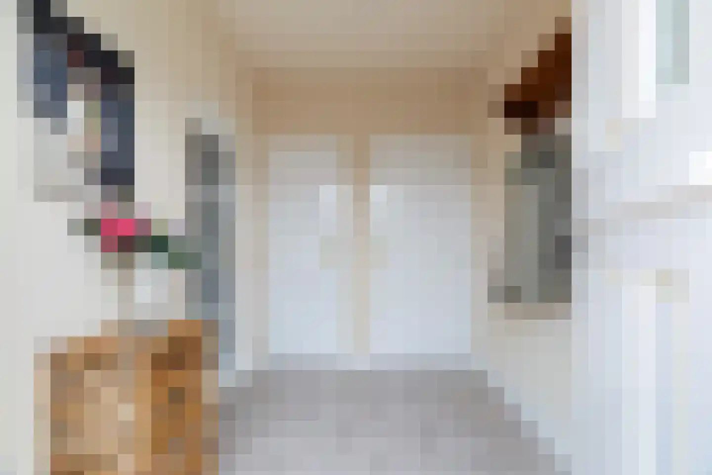 Biesboschlaan 8 Hank thumbnail 4