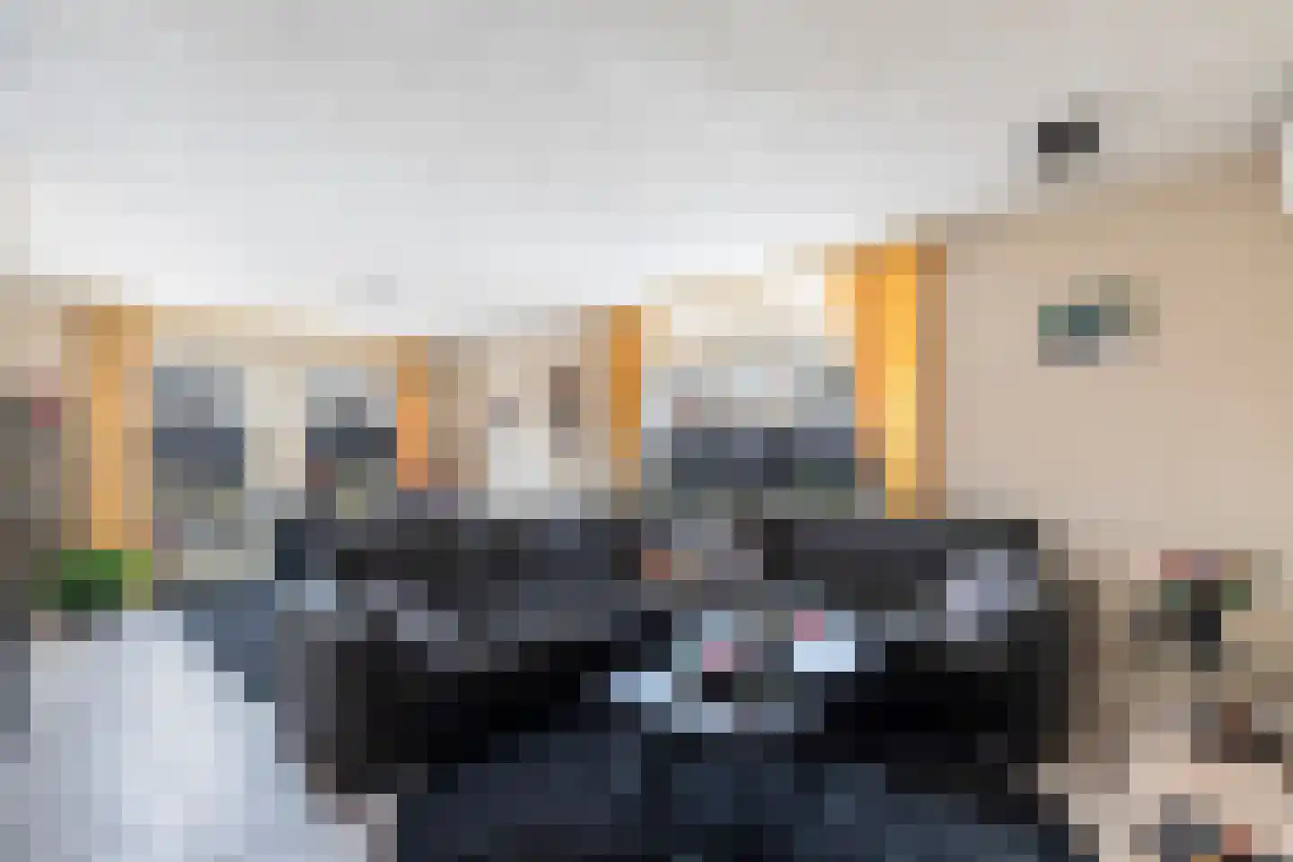 Biesboschlaan 8 Hank thumbnail 7